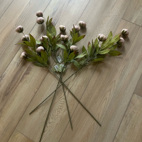 Ashland Tan Peony Stems (4 stems) - Picture 2 of 3